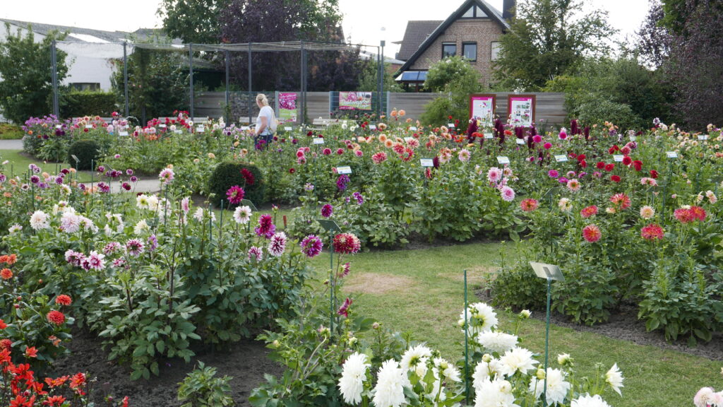 2020-08-18 Radtour Legden - Bild 032